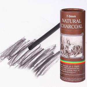 Set di Carboncini di Salice Naturali con Anima Morbida 3-9mm per Artisti e Principianti per Schizzi e Disegno - Product Image 4