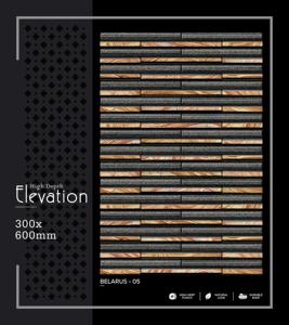 Azulejo de Pared de Porcelana de Alta Gama, 300x600mm, 30x60cm, 12x24, Acabado Mate, Superficie Texturizada, Azulejo de Pared Interior de Primera Calidad - Product Image 5