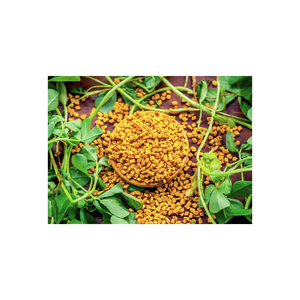 Semillas de Fenogreco Secas Naturales Puras de Alta Calidad y Bajo MOQ para Sazonar Alimentos y Cocinar - Product Image 1