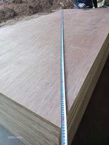 Contrachapado de Bintangor Grado A2 E1 Estándar de Formaldehído, Estirax de una Cara - Product Image 4