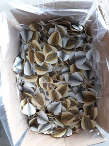 Wholesale Dried Yellow Stripe Scad Fish Marinated Dried Yellow Stripe Fish Good Taste Sweet Dried Yellow Stripe Trevally Fish - Product Image 3