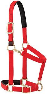ODM Weaver Equine Breakaway Horse Halter, Comfort <b>Foam</b> <b>Padding</b>, Adjustable Chin & Throat Snap Halters for Horses, Equine - Product Image 4