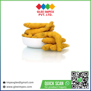 Prix de gros usine indienne 100% pur curcuma bio séché brut en bâtonnets, extrait de racine entière naturelle Glee Impex - Product Image 6