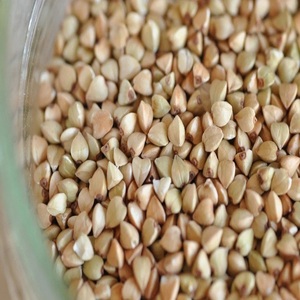 Trigo Sarraceno Tostado Natural de Primera Calidad, Producto Seco a Granel, 25 kg - Product Image 2