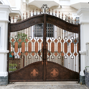 Portes en fer forgé double, de luxe, forgées à la main, anti-effraction, d'entrée, décoratives rétro, pour villa, maison, appartement, en provenance du Vietnam - Product Image 1