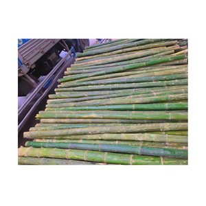 Choix Populaire : Poteaux en Bambou pour la Construction, le Jardinage et l'Artisanat - Product Image 1