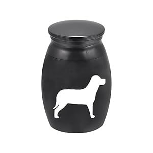 Urna Conmemorativa de Metal Premium para Cenizas de Mascotas, Perros y Gatos, Recuerdo Decorativo Elegante con Tapa Segura para Hacer Tributo a un Compañero Querido - Product Image 6