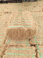 Nouvelle Fibre de Coco de Qualité Supérieure Brun Doré 5-25cm de Longueur 3% d'Impuretés Matière Propre Balles de 100kg Remplissage de Matelas Tan Hoi