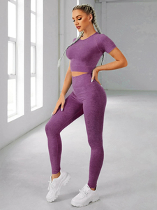 Women's 2 Piece Yoga Set Seamless Athletic Workout Outfit Gym Fitness Activewear Sports Bra & High Waist Leggings Yoga Wear - Product Image 3