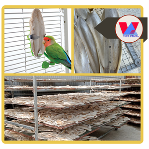 Hueso de Sepia Natural de 6cm o más, el Más Vendido, para Aves, Loros, Juguete Masticable para Animales, Venta al por Mayor - Product Image 3