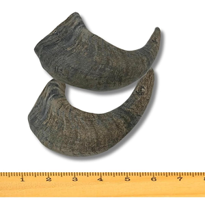 Alimento Premium para Mascotas Más Vendido en India, Masticables para Perros Hechos a Mano con Cuerno de Búfalo Natural, Producto Ecológico de Venta Caliente - Product Image 3