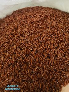 Arroz Duro Seco Blood Dragon, Origen Vietnam, Sin OMG, Sin Gluten, Grano Integral, Alimento Nutritivo, Suministro a Granel, Precio de Fábrica, Etiqueta OEM - Product Image 5