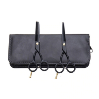 Coffret de ciseaux de coiffure professionnels personnalisés 2026 de haute qualité, noirs et revêtus, pour salon de coiffure et barbier