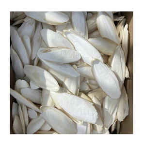 Hueso de Sepia Seco Natural al por Mayor, Fuente de Calcio de Alta Pureza para la Fabricación de Alimentos para Mascotas y Suplementos Nutricionales para Aves - Product Image 1