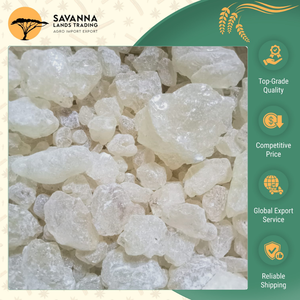 Fabricante y Proveedor Líder en Indonesia, Resina de Goma Damar de Primera Calidad 100% Genuina, Servicio OEM Personalizado - Product Image 4