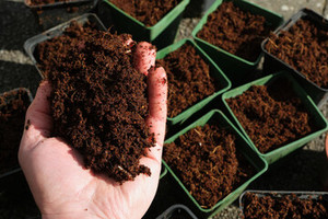 Turba de Coco de Bajo Contenido de Cloruros (EC), en Bolsa a Granel, Ligera, para Plantación en Jardín, Exportada a Precio Económico - Product Image 6