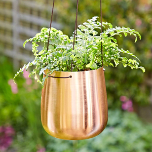 Maceta Colgante de Metal con Acabado en Cobre y Cables de Suspensión Negros, Maceta Cilíndrica Moderna para Plantas de Interior, Estilo Contemporáneo - Product Image 6