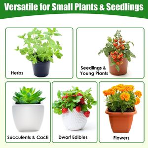 Mini Invernadero Interior/Exterior para Hierbas y Suculentas, Protección Contra Insectos y Plagas para Plantas Comestibles Pequeñas - Product Image 5