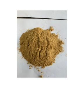 Poudre de protéines de bœuf hydrolysée de qualité supérieure pour compléments nutritionnels et applications de fortification alimentaire - Product Image 2