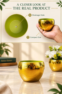 Gold Metal Planter <b>Pot</b> 8cm x 10cm <b>Small</b> Decorative Flower Container for <b>Indoor</b> <b>Plants</b> Modern Tabletop Planter for Living Room - Product Image 3