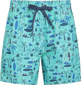 Shorts décontractés pour hommes, grande taille, personnalisables, en tricot élastique, respirants, style boxer, avec imprimé rayé transfrontalier, vente en gros - Product Image 1