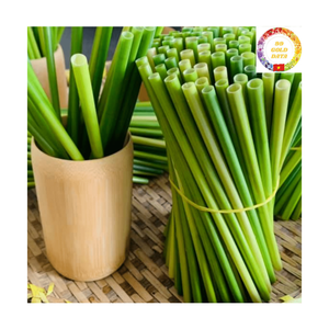 Natural Grass <b>Straws</b> | Organic Material Sustainable | <b>Disposable</b> 200mm | Wholesale For Summer Beverage Use - Product Image 6