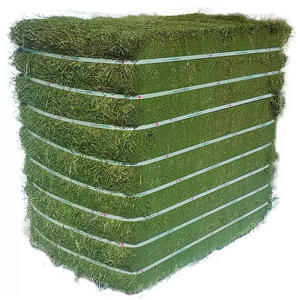 Heno de Alfalfa de Alta Calidad en Pellets y Pacas para Alimentación de Caballos, Cerdos y Peces - Empaque a Granel - Product Image 3