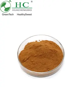 Top Grade Natural Damiana Tea Damiana Leaf Extract Wholesale Price High Quality