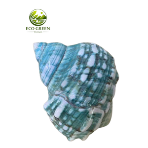 Conchas Marinas Decorativas Verdes Iridiscentes con Acabado de Madreperla para Decoración de Bodas, Relleno de Jarrones y Manualidades - Product Image 4