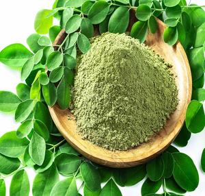 Poudre d'extrait de feuilles de Moringa séchée par pulvérisation en gros pour OEM – Poudre végétale naturelle stimulant l'immunité pour produits de santé et capsules - Product Image 4