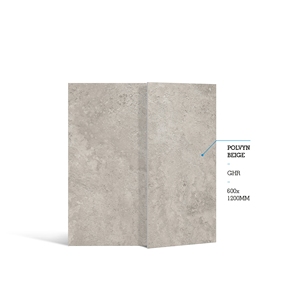 Baldosa de Porcelana Polvyn Beige GHR 600x1200mm, Acabado Mate, Imitación Piedra, para Paredes y Pisos Interiores, Resistente a Ácidos, Antibacteriana, Antideslizante - Product Image 2