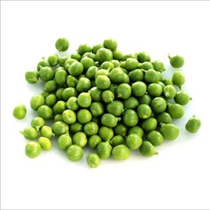 ถั่วเขียวธรรมชาติสำหรับตลาดยุโรป - Product Image 6