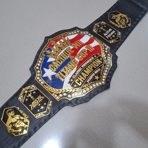 เข็มขัดแชมป์ทองเหลืองสำหรับผู้หญิงแบบกำหนดเอง สำหรับการแข่งขันมวย MMA และเทควันโด - ความยาว 1.5 เมตร ผู้ผลิต OEM - Product Image 1