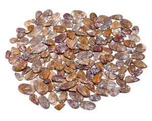 Venta al por mayor de piedra de ágata de raíz de ciruela 100% natural, pulida de alta calidad, para accesorios de joyería y piedras curativas, 20-40mm, de terceros - Product Image 2