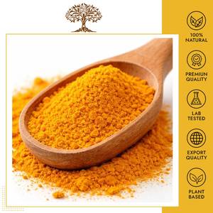 Extracto de Cúrcuma Premium en Polvo, Curcuma longa, Extracto Herbal Botánico, Derivado de Plantas Naturales, Materia Prima de Alta Calidad a Granel - Product Image 5