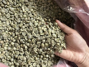 FOB Vietnam Specialty Arabica Green <b>Coffee</b> <b>Beans</b>, Size 18, Direct Export Manufacturer, Bulk Wholesale, Moisture 12.5% Max - Product Image 5