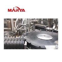 Ligne de machines de remplissage et de bouchage de cartouches entièrement automatique de haute précision Marya avec CIP SIP