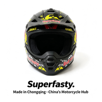 Casque de moto tout-terrain intégral personnalisé certifié DOT, à libération rapide, haute performance, pour toutes les saisons