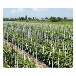Tapered Solid Fiberglass Frp Grp <b>Plastic</b> <b>Rod</b> With Drill Hole for Fence Fiberglass <b>Rod</b> - Product Image 2