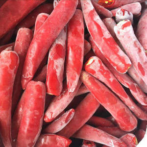 Piments surgelés du Vietnam fraîchement récoltés IQF transformés saveur épicée conservée disponible dans un emballage en vrac 99 données d'or - Product Image 6