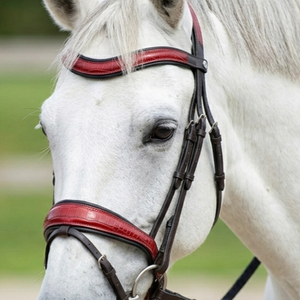 Bridon de luxe en cuir anatomique pour cheval, orange, avec embossage crocodile, fronture ondulée et ferrures en acier inoxydable de haute qualité - Product Image 2