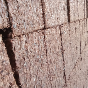 Natural Coconut <b>Coir</b> Eco-Friendly Ready-to-Use Growing <b>Block</b> for Garden Bulk Export From India - Product Image 6