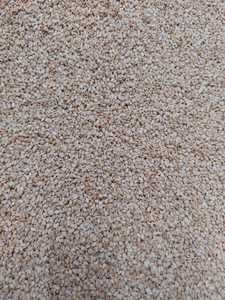 เมล็ดงาอินเดียเกรดส่งออก - Product Image 4