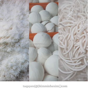 Tiras de Carne de Coco Congelada al Vacío IQF a Granel de Filipinas, Alargadas con Conservación de Agua para Procesamiento de Alimentos - Product Image 4