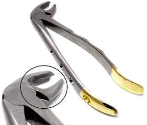 7 Piece Manual Dental Extraction Forceps Set Surgical Grade Stainless Steel Class I CCC OEM Private Label <b>Grip</b> Surgical 3-Year - Product Image 5