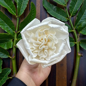 VADEE SOLA WOOD FLOWER Handmade Sustainable Ivory English Rose Sola Wood Flowers 8.5 CM Sesbania Plant Fiber Rod From Thailand - Product Image 1