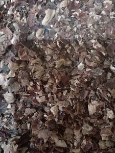 Cáscara de Anacardo TESTA 3MM UP en Polvo para Extracto y Cáscara de Anacardo para Curtir, Pellets de Cáscara de Anacardo - Product Image 6