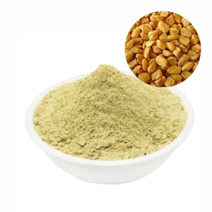 Poudre de graines de fenugrec 100 % naturelle en vrac OEM ODM – Qualité alimentaire, favorise l'équilibre intestinal - Product Image 1