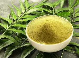 ผงใบสะเดาบริสุทธิ์ 100% สมุนไพรอายุรเวทแบบดั้งเดิม 100 กรัม สำหรับดื่ม - Product Image 2