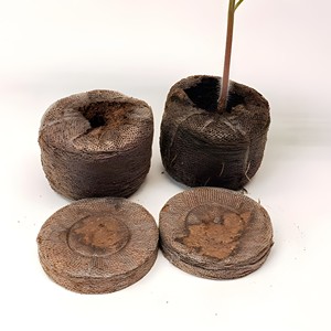Mousse de pépin aérée, bouchons de coco biodégradables, graines de coco pith, dosettes de démarrage, granulés de cocopeat du Vietnam - Product Image 3